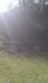 imag0534_431x720