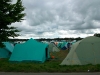 The Site