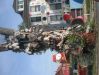 th_dscf2506