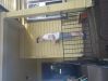 th_imgp0028