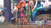 th_imgp0337
