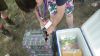 th_imgp0112